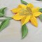 2 Yellow & Green Lily Flower Patches Iron on Applique for DIY